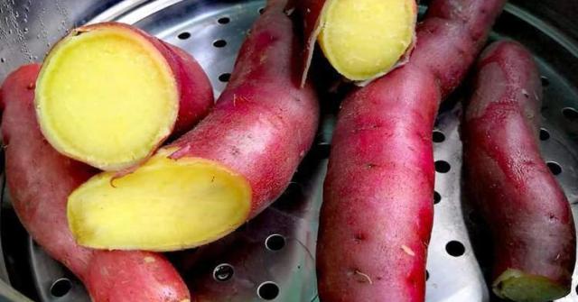 Hấp khoai lang dùng nước nóng hay lạnh, đầu bếp mách cách làm đúng giúp khoai ngọt mềm