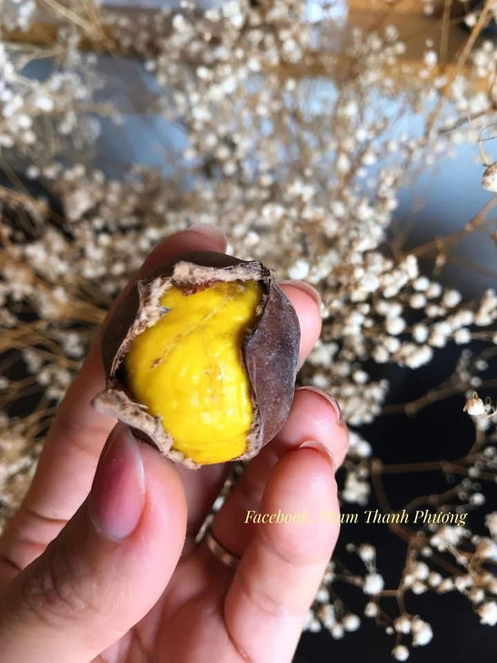 Hạt dẻ Trùng Khánh