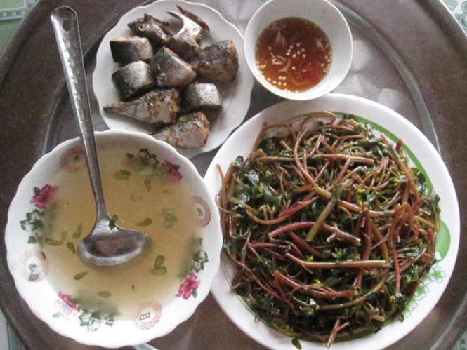 Hè về, chợt nhớ sam quê
