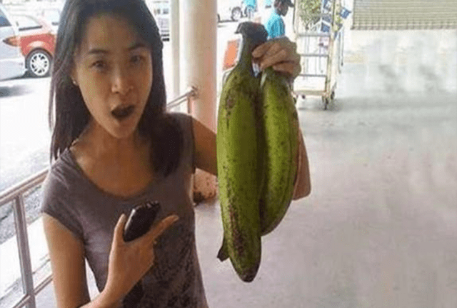Hết hồn với giống chuối to như bắp tay, ăn một quả no nguyên ngày
