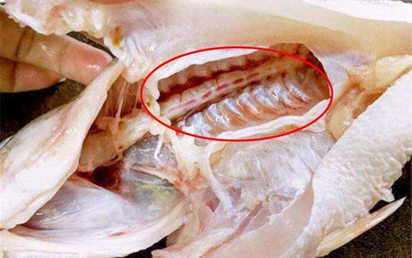 Hóa ra cá có mùi tanh là do những thứ này, loại bỏ hết đảm bảo món ăn thơm ngon hơn