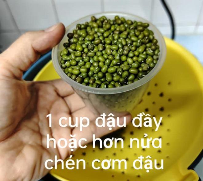 Học mẹ đảm cách làm giá đỗ bằng ấm đun nước siêu tốc, giá mập, ít rễ