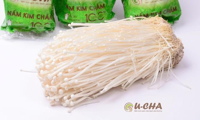 Hướng dẫn chọn đúng nấm Kim châm Hàn Quốc