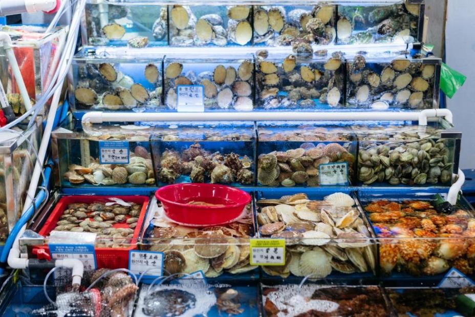 Khám phá khu chợ hải sản lớn nhất Seoul