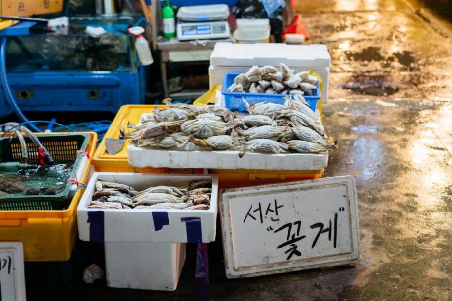 Khám phá khu chợ hải sản lớn nhất Seoul