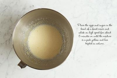 Làm bánh bông lan con sò chocolate đẹp mắt ngon miệng