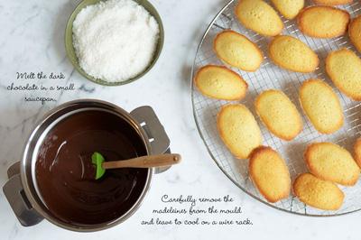 Làm bánh bông lan con sò chocolate đẹp mắt ngon miệng