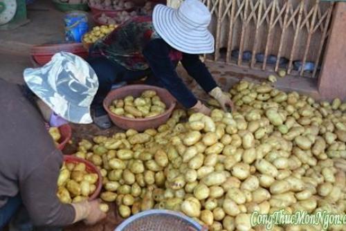 Làm sao phân biệt khoai tây Đà Lạt và khoai tây Trung Quốc?