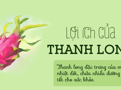 loi ich cua an thanh long Lợi ích của ăn thanh long