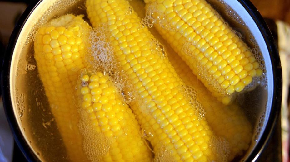 Luộc ngô tưởng dễ nhất quả đất rồi vậy mà 90% chúng ta vẫn sai lầm suốt, nhất là điều số 3