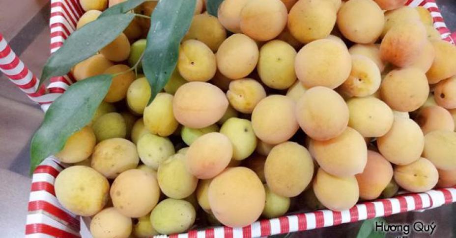 Mách chị em cách ngâm mơ tuyệt ngon, không lo nổi váng để giải nhiệt ngày hè