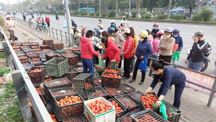 Mẹ Hà Nội mách cách làm tương cà siêu sạch từ cà chua 'giải cứu' nông sản