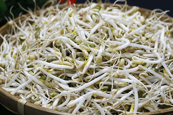 Mẹo chọn giá đỗ ngon và an toàn bà nội trợ nào cũng cần biết