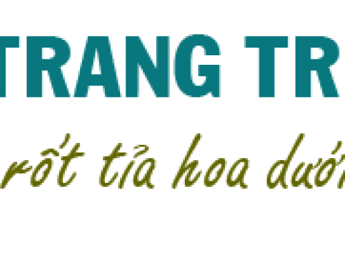 Mẹo làm thịt đông trong veo, mềm tan trong miệng cho ngày Tết