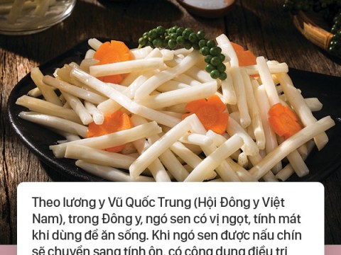 mon an nay duoc gioi vua chua xua vo cung trong dung hoa ra boi vi no co the ch Món ăn này được giới vua chúa xưa vô cùng trọng dụng, hóa ra bởi vì nó có thể chữa hàng tá bệnh!