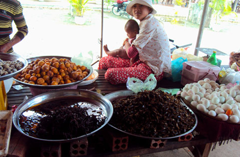 mon doc xu chua thap nhen den chien gion Món 'độc' xứ chùa tháp - nhện đen chiên giòn