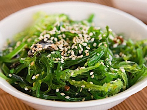 mon salad quen thuoc trong cac nha hang nhat ban hoa ra lai co cong thuc che bien nhanh gon d Món salad quen thuộc trong các nhà hàng Nhật Bản hóa ra lại có công thức chế biến nhanh gọn đến không tưởng: Thao tác 5 phút là xong, vừa ngon vừa tiết kiệm!