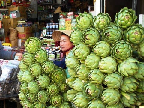 mong heo ham thu nay tot nhu than duoc ngon tuyet dinh Móng heo hầm thứ này tốt như thần dược, ngon tuyệt đỉnh