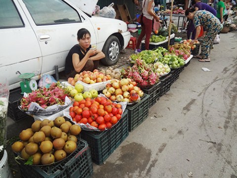 mua thu me vi ngon cua trai hong Mùa thu mê vị ngon của trái hồng