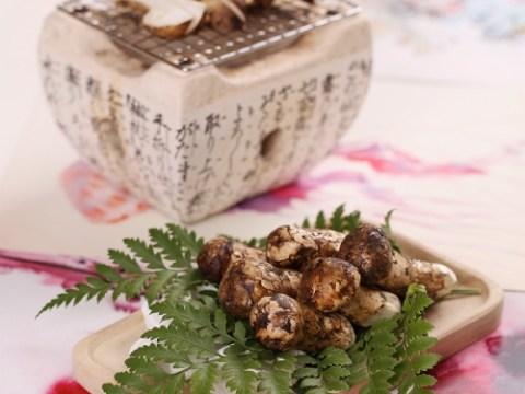 nam matsutake than duoc cho phai dep Nấm Matsutake - 'thần dược' cho phái đẹp