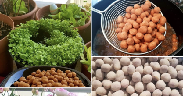 Ngày cuối cùng của năm, dạo một vòng xem các chị em đang chuẩn bị và nấu nướng những gì cho Tết này?