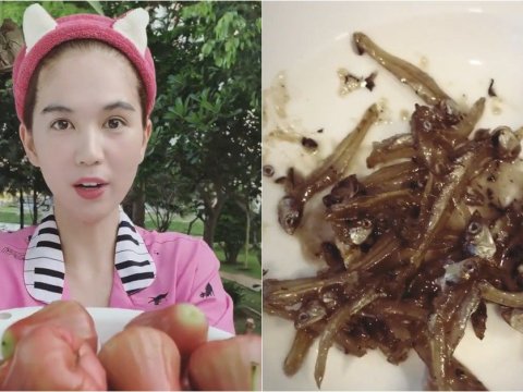 ngoc trinh khoe canh an ca kho fan phat hien con ruoi lu lu tren dia Ngọc Trinh khoe cảnh ăn cá khô, fan phát hiện con ruồi lù lù trên đĩa