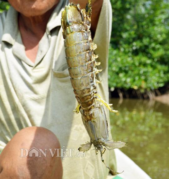 Ngũ đại đặc sản không thể bỏ qua khi đến Đất Mũi