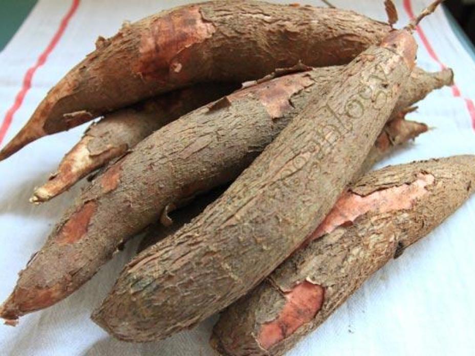 Những lưu ý khi chế biến các thực phẩm có chất độc tự nhiên