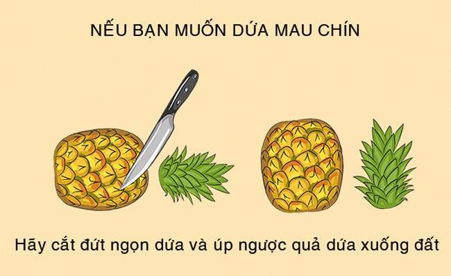 Những mẹo nấu ăn "nhỏ nhưng có võ" giúp bạn nấu ăn dễ dàng hơn rất nhiều