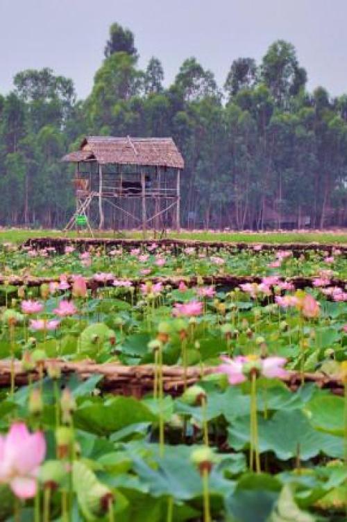 Ở Cao Lãnh Đồng Tháp có gì ngon? Đây là top 5 ngon nhất, bạn đã được thử hết?