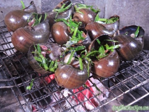 oc buou nuong la chanh da an la me Ốc bươu nướng lá chanh đã ăn là mê