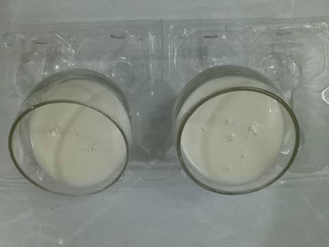 Panna cotta vải thiều và mận