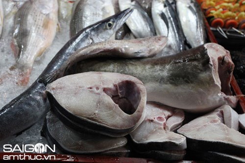 Phú Quốc, Cobia, cá bớp