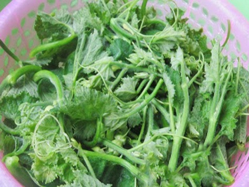 Rau bí xào tỏi xanh mướt, ngon giòn đậm đà