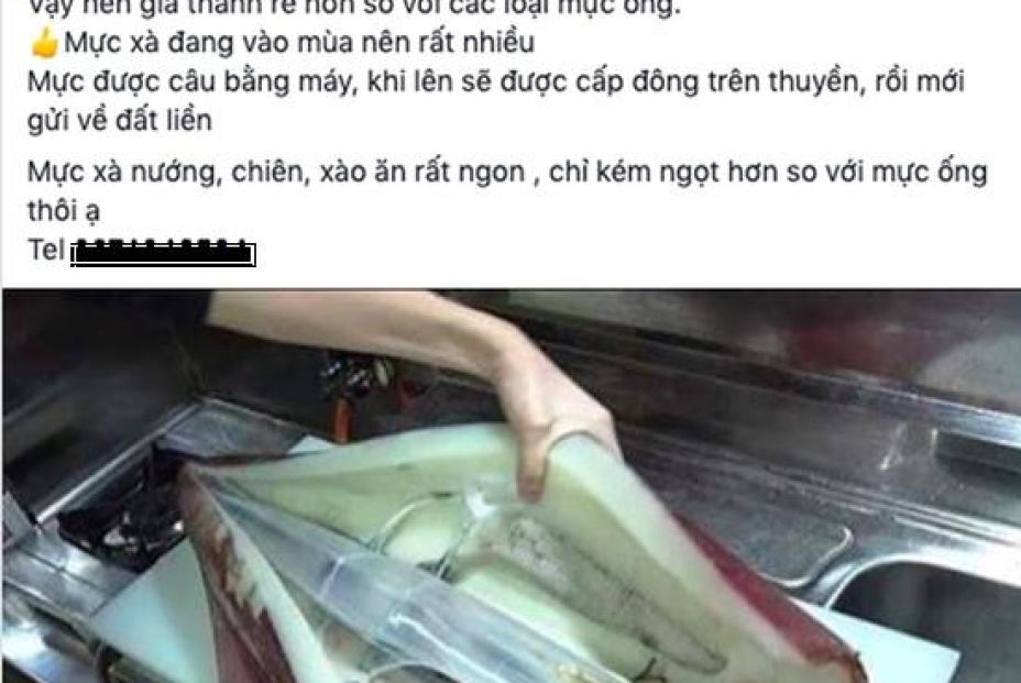 Thực hư mực 