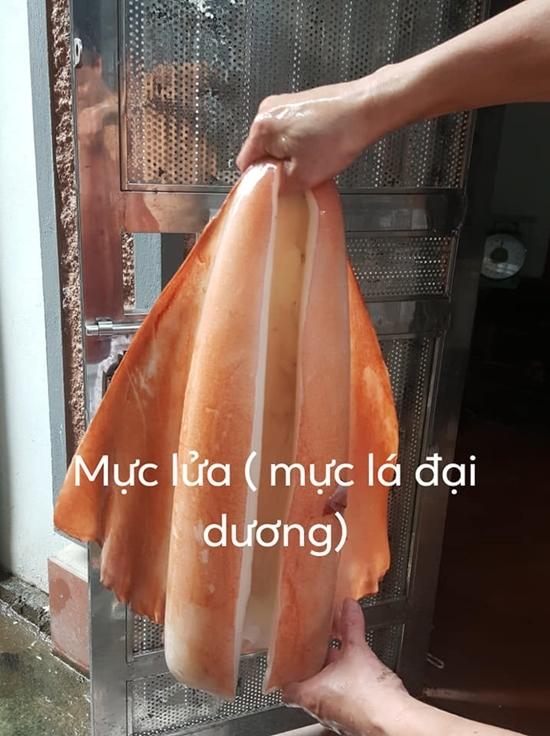 Thực hư mực 