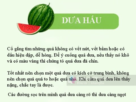 tong hop cac cach chon rau cu qua tuoi ngon khong lo hoa chat Tổng hợp các cách chọn rau củ quả tươi ngon không lo hóa chất