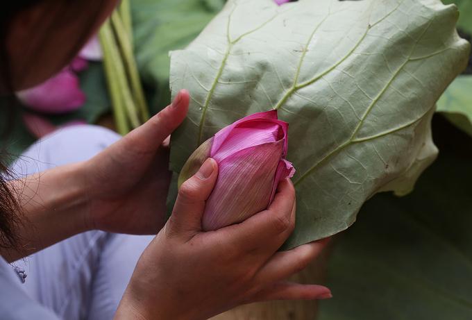 Trà sen hồ Tây - món quà tinh tế ngày hè ở Hà Nội