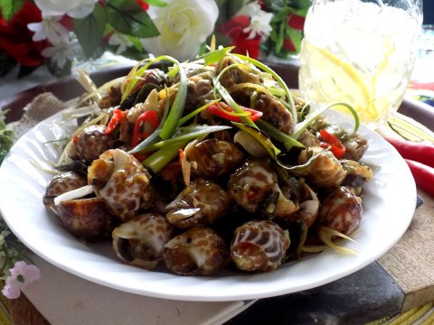 tu tay lam mon oc huong xao nuoc cot dua cho chong lai rai tuyet ngon Tự tay làm món ốc hương xào nước cốt dừa cho chồng 'lai rai' tuyệt ngon