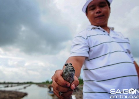 ve mien dat mui bat ca thoi loi Về miền đất mũi bắt cá thòi lòi