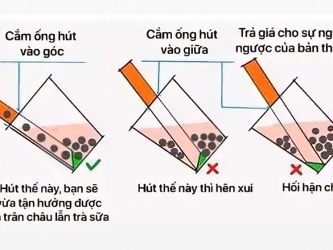 vi sao ong hut tran chau phai co mot dau nhon Vì sao ống hút trân châu phải có một đầu nhọn