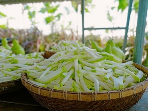 bau an khong het lam ngay cach nay se co mon cuc la mieng dai ca nha Bầu ăn không hết, làm ngay cách này sẽ có món cực lạ miệng đãi cả nhà!