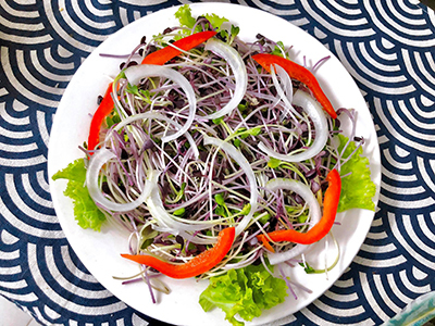 Salad rau mầm thịt bò