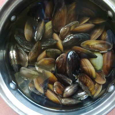 Dân dã món canh trùng trục nấu rau cải
