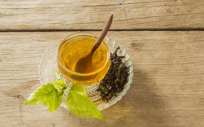 4 loại cây dễ tìm dễ mua này có thể vò nhanh vài lá pha trà uống, vừa thanh nhiệt giải độc, vừa giúp tăng đề kháng