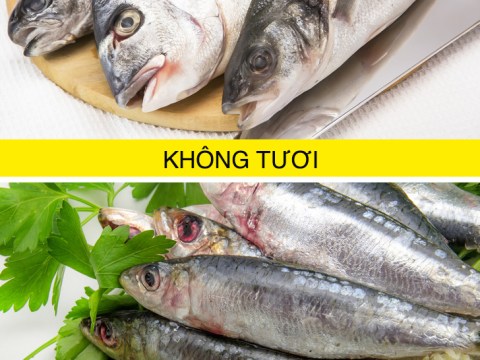 9 meo phan biet thuc pham tuoi khi di cho 9 mẹo phân biệt thực phẩm tươi khi đi chợ