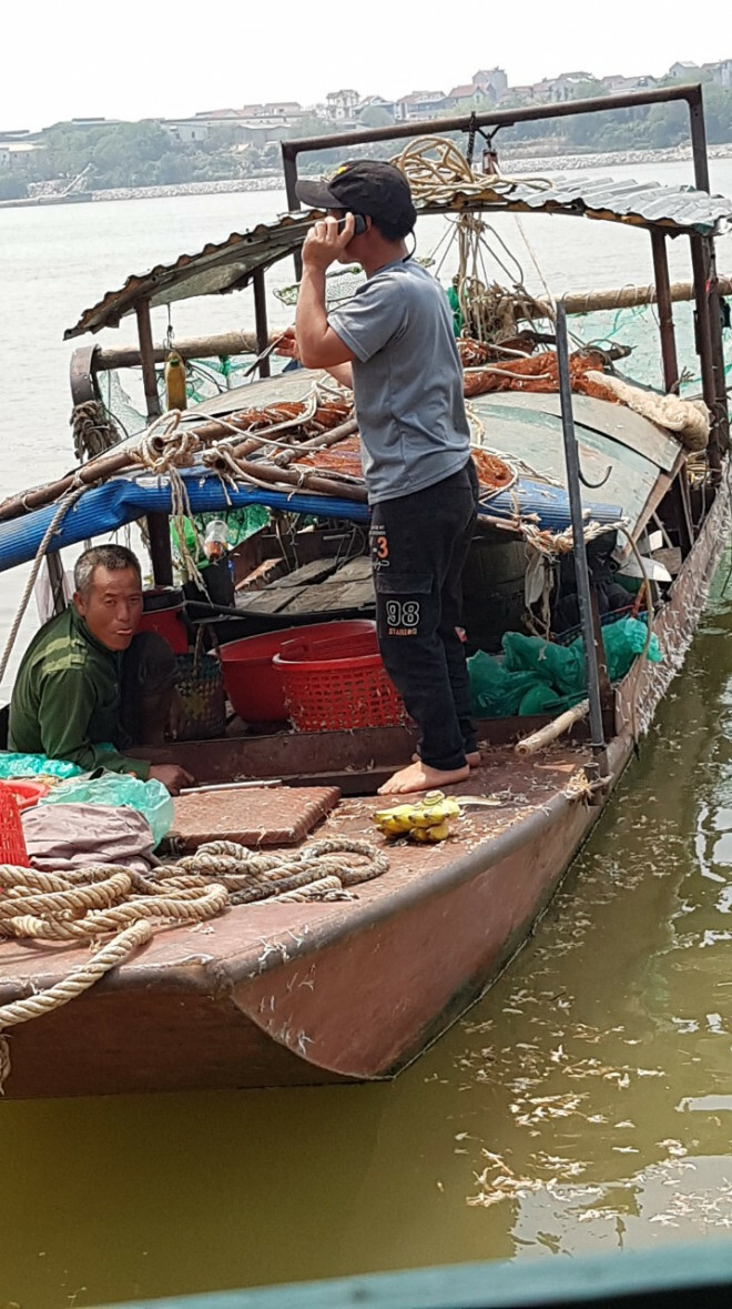 Con vật vờ kỳ lạ ở sông Hồng, sống vài giờ nhưng lưu danh đặc sản, giá tới cả triệu đồng