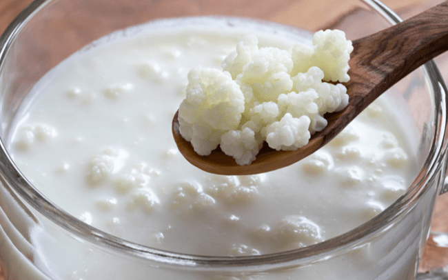 Nấm sữa Kefir: Tác dụng bất ngờ cho sức khỏe và cách nuôi nấm sữa đơn giản tại nhà