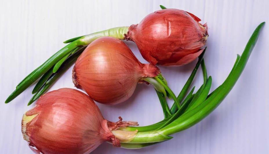 4 loại củ cực bổ dưỡng khi mọc mầm, vứt đi chỉ có tiếc hùi hụi