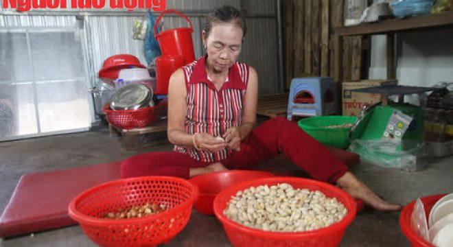 Mít hông Tam Kỳ: Ăn một miếng, nhớ cả đời